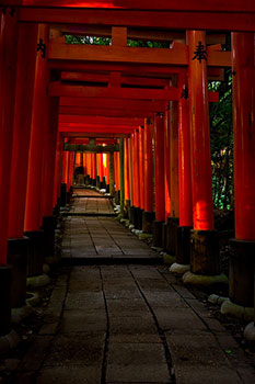 Fushimi Inari